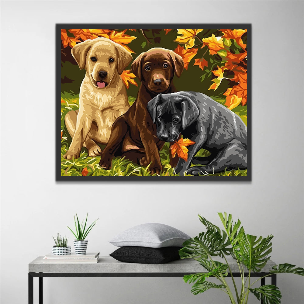 Three Dogs and Maple Leaves Paint by Numbers