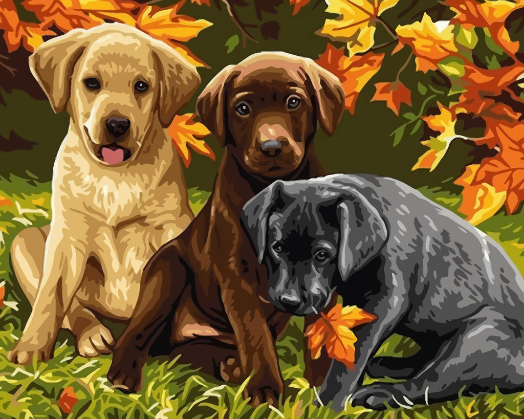 Three Dogs and Maple Leaves Paint by Numbers