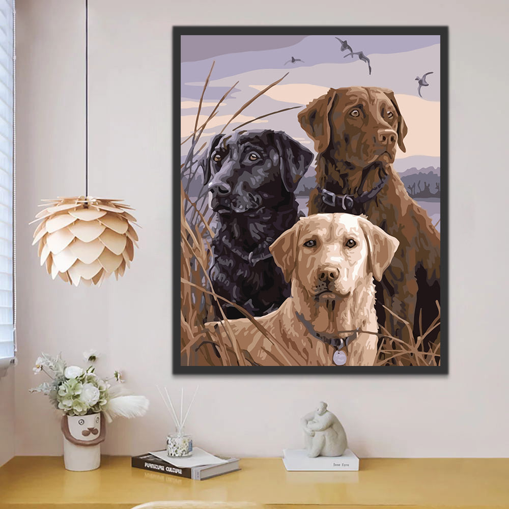 Three Dogs of Different Colors Paint by Numbers