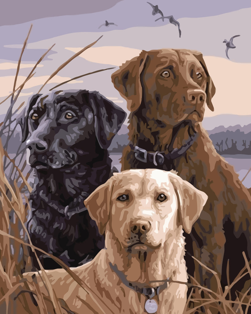 Three Dogs of Different Colors Paint by Numbers