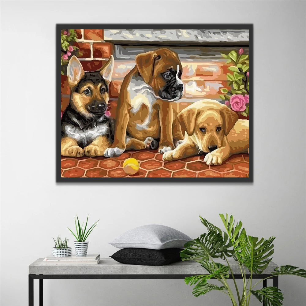 Three Dogs Paint by Numbers