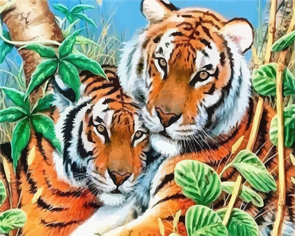 Tiger Couple Paint by Numbers