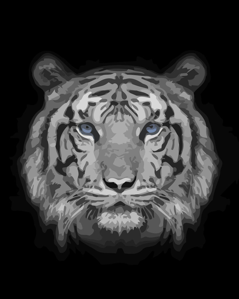 Tiger Head in the Dark Paint by Numbers