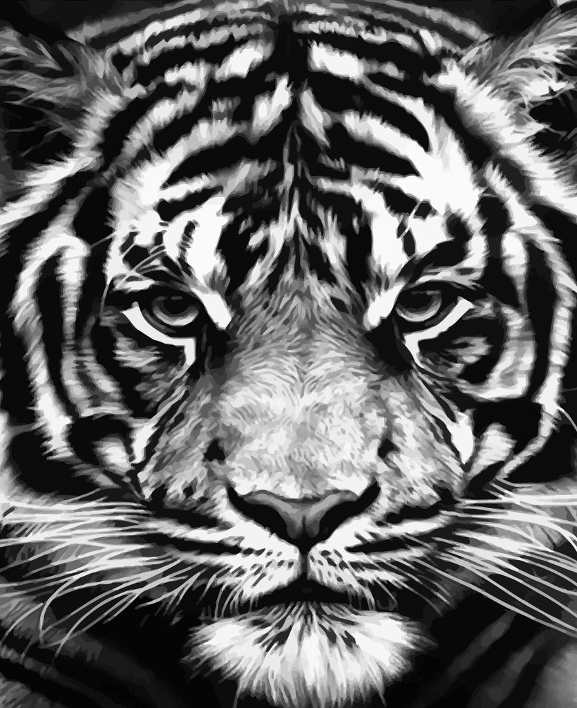 Tiger Paint by Numbers