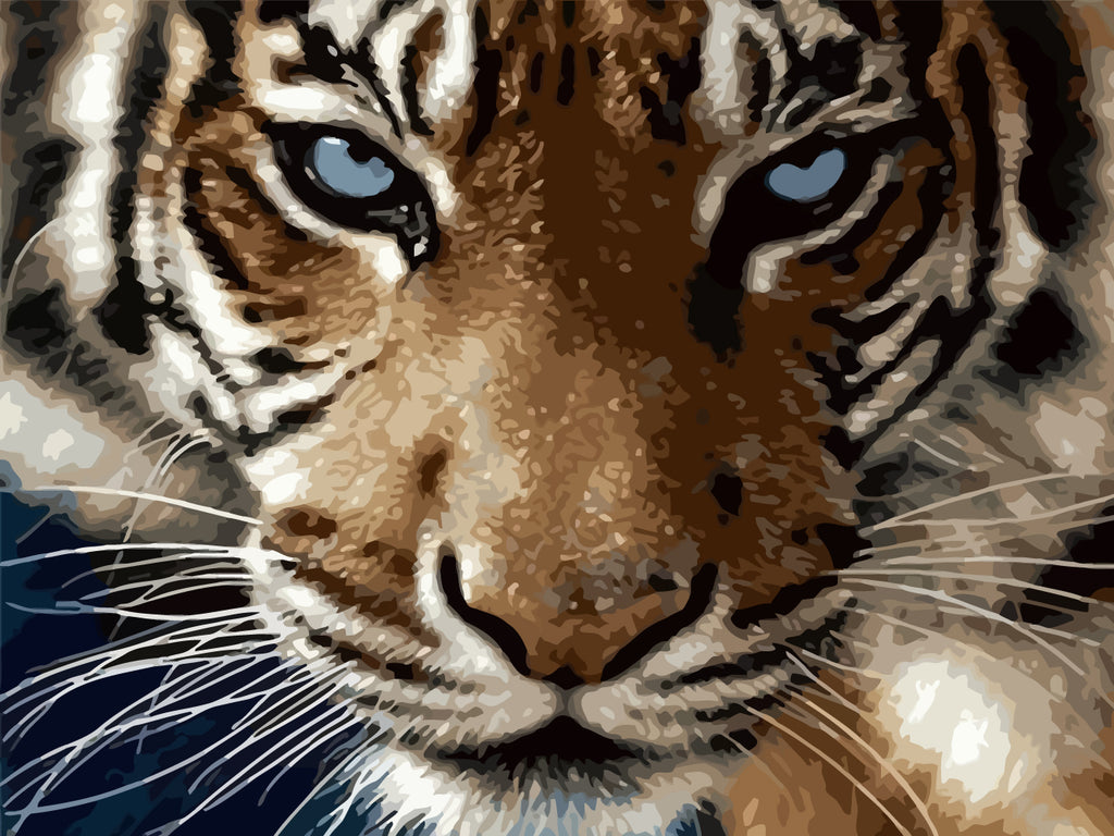 Tiger Paint by Numbers