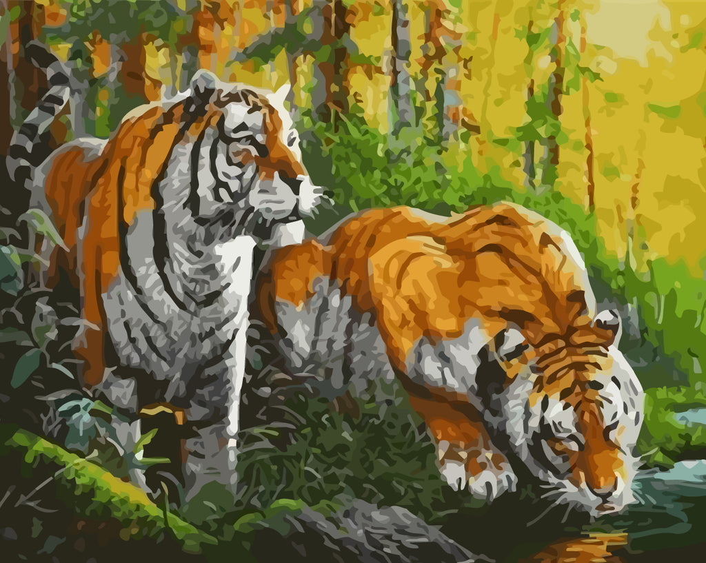 Tigers Drinking Water Paint by Numbers