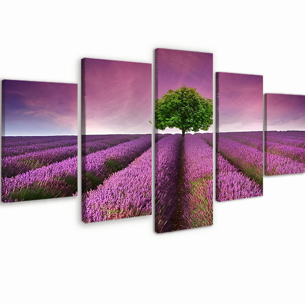 Tree in Lavender Field 5 Pack Paint By Numbers