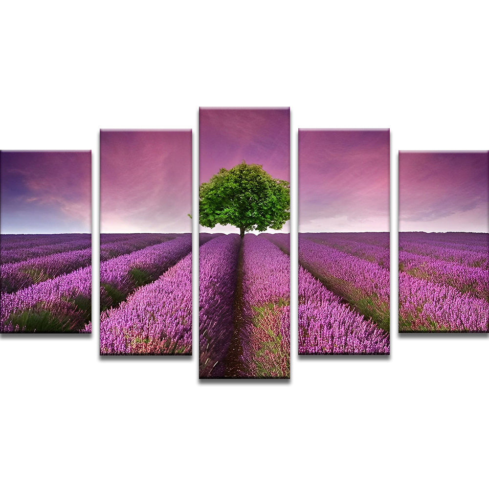 Tree in Lavender Field 5 Pack Paint By Numbers