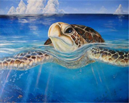 Turtle on the Sea Paint by Numbers