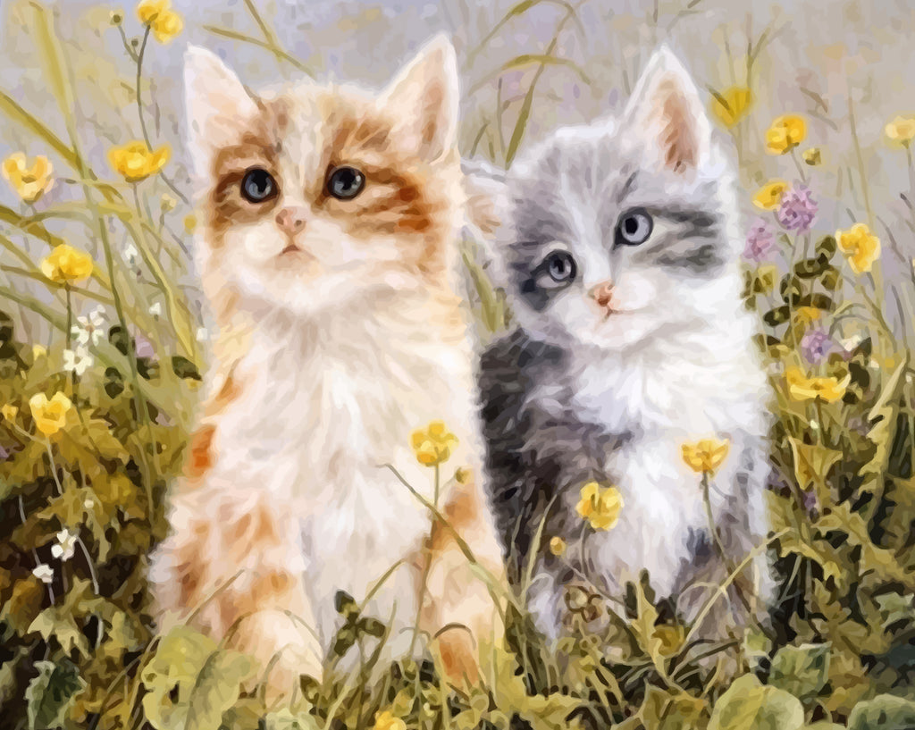 Two Cats in the Flower Field Paint by Numbers