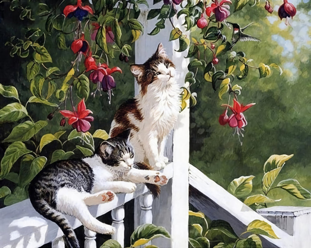 Two Cats in the Garden Paint by Numbers