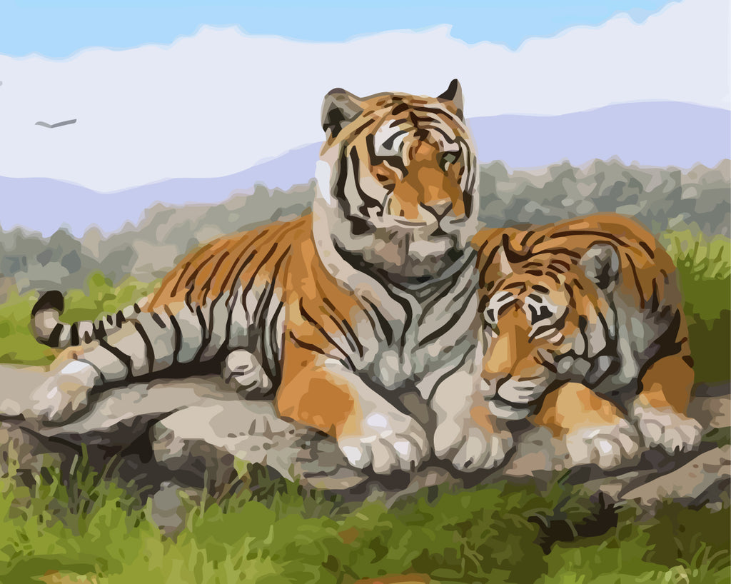 Two Tigers on Grass Paint by Numbers