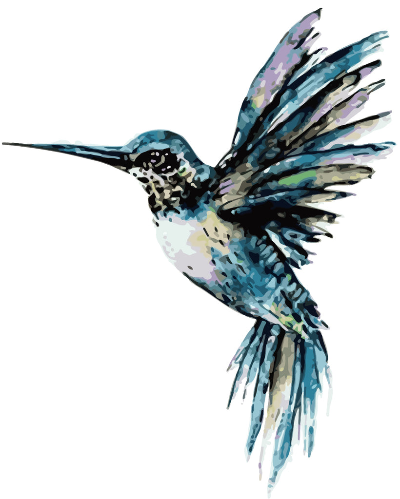 Watercolor Hummingbird Paint by Numbers