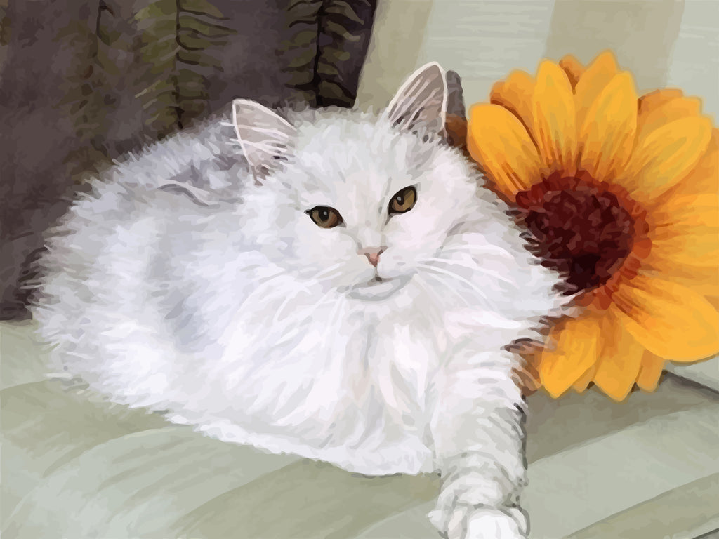 White Cat and Sunflower Paint by Numbers