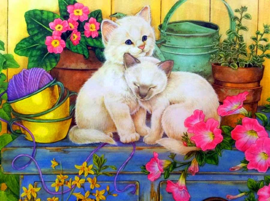 White Cats in Garden Paint by Numbers