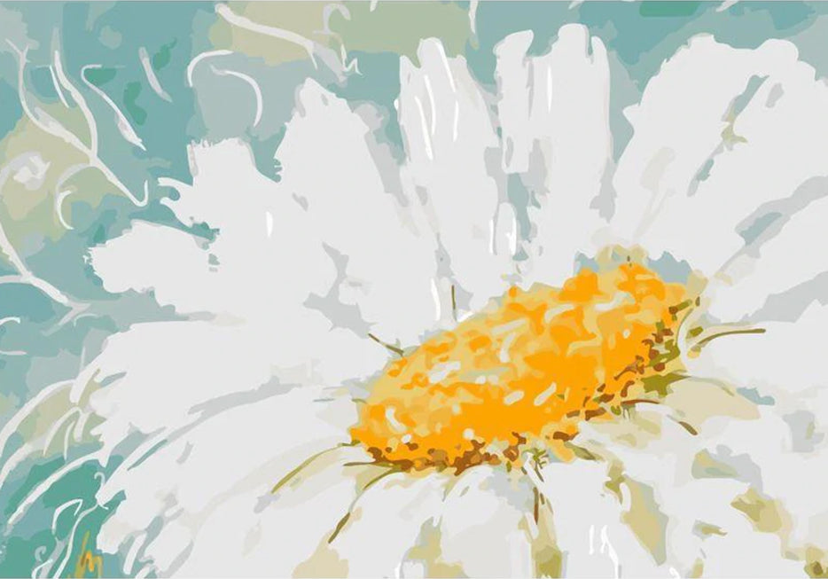 White Chrysanthemum Paint by Numbers