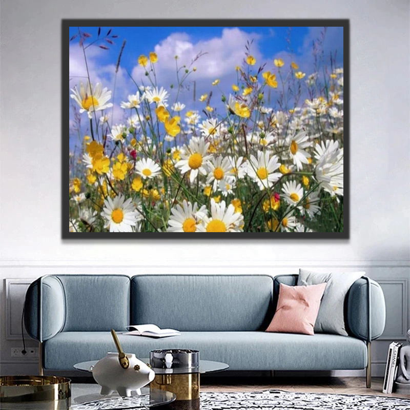 White Daisies and Blue Sky Paint by Numbers