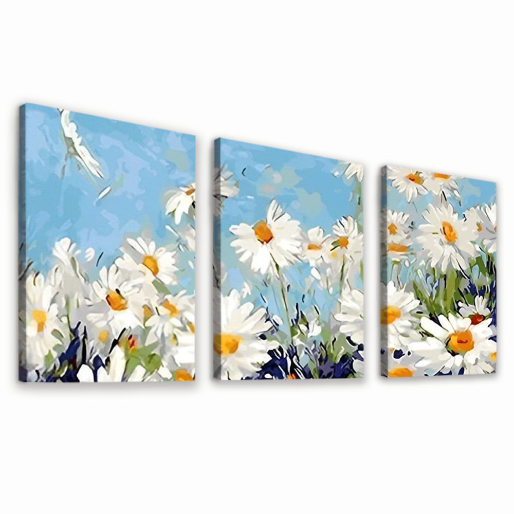 White Daisies in the Wind 3 Pack Paint By Numbers