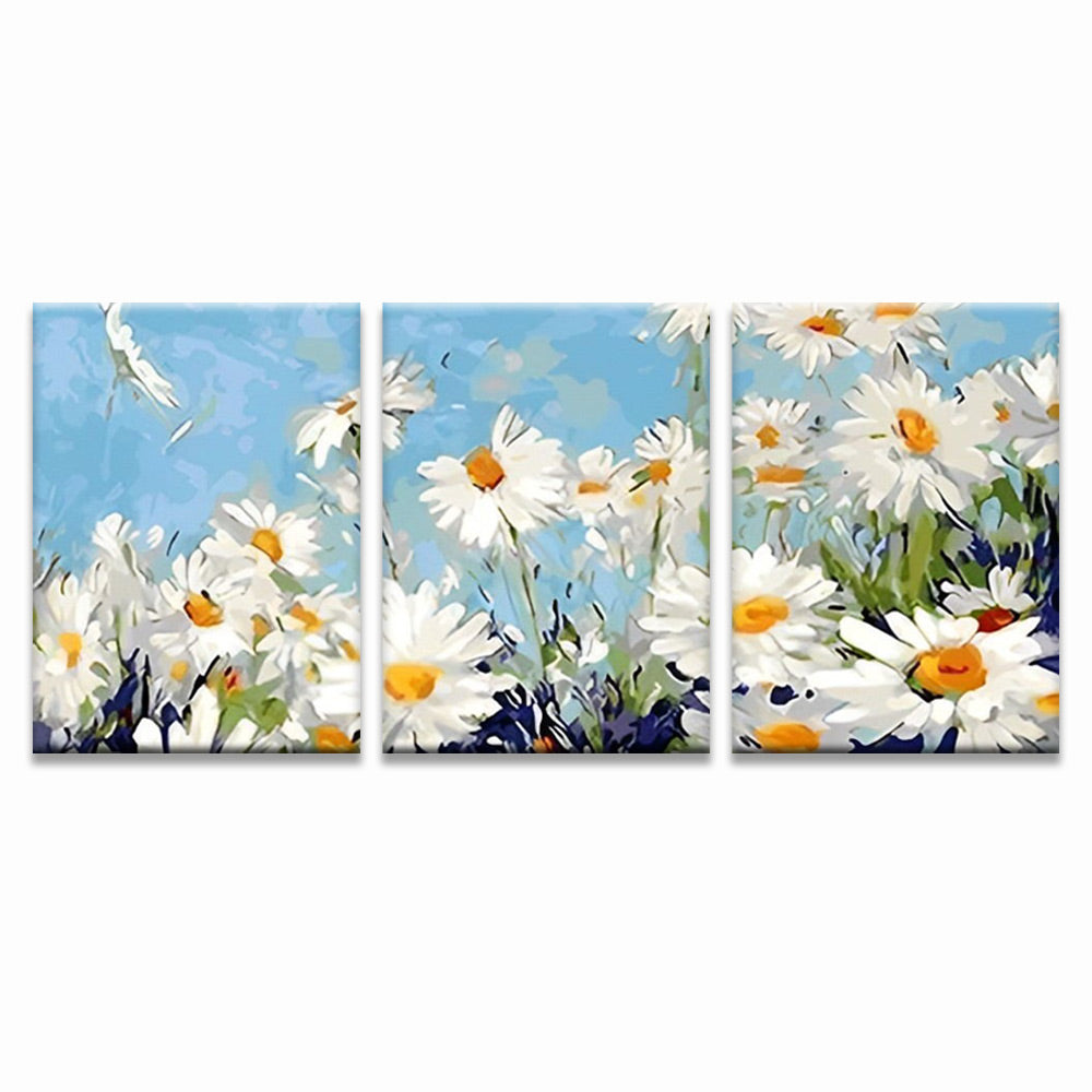 White Daisies in the Wind 3 Pack Paint By Numbers