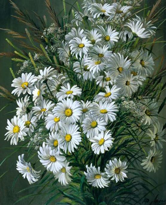 White Daisies Paint by Numbers