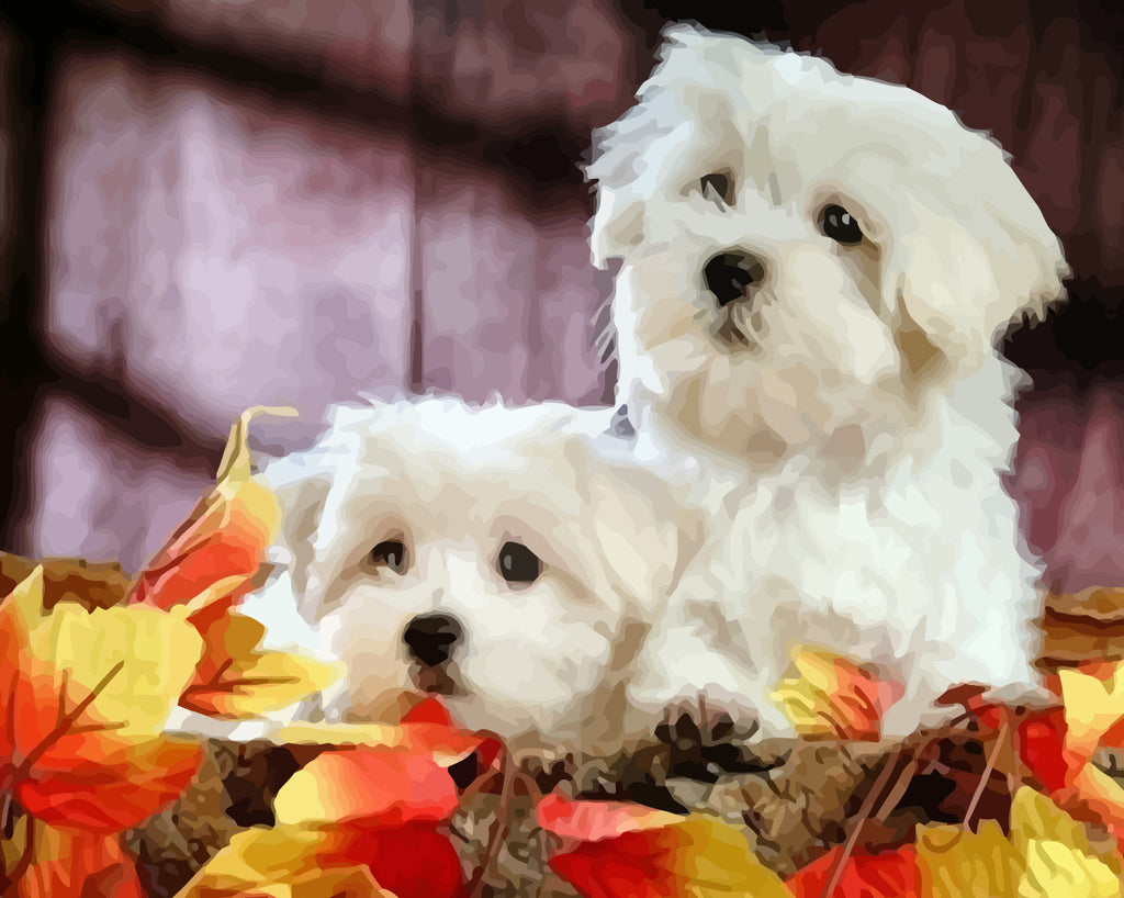 White Dogs and Maple Leaves Paint by Numbers