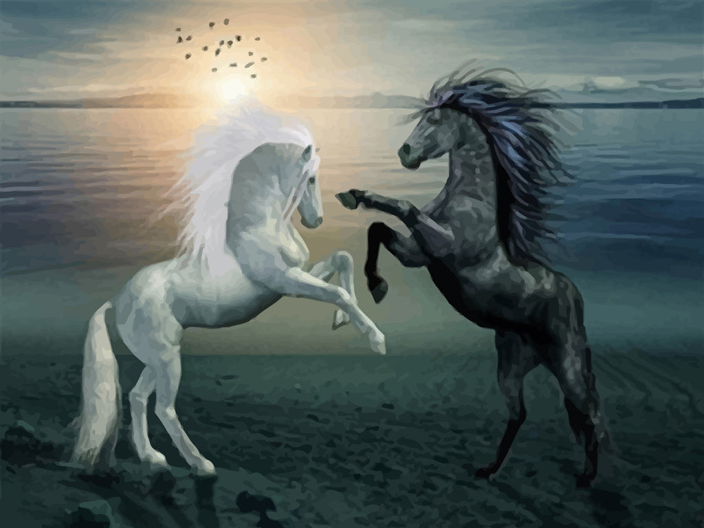 White Horse and Black Horse Paint by Numbers