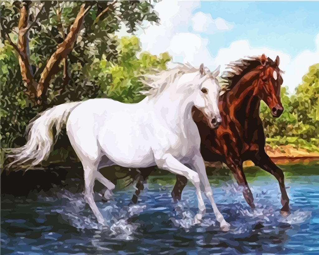 White Horse and Brown Horse Paint by Numbers