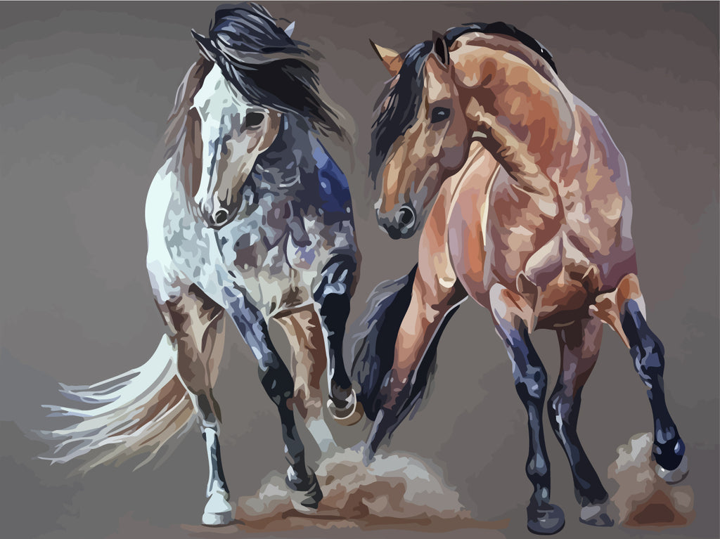 White Horse and Brown Horse Paint by Numbers