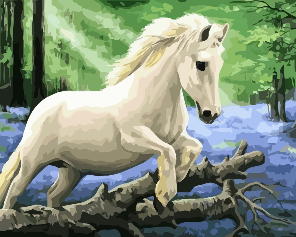 White Horse in Forest Paint by Numbers