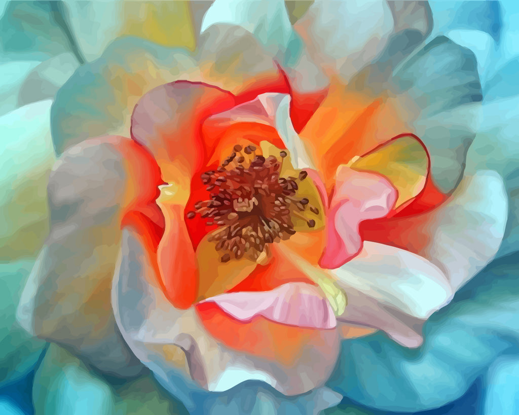 White Peony Paint by Numbers