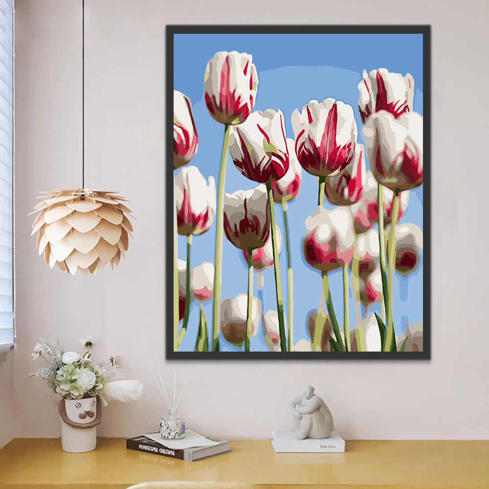 White Pink Tulips Paint by Numbers