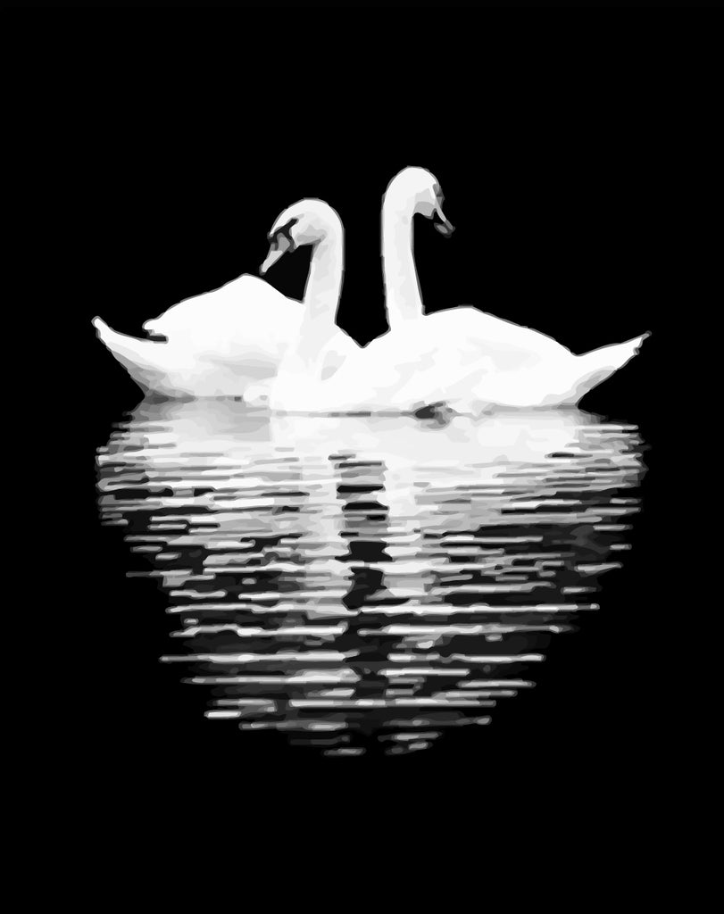 White Swans in the Dark Paint by Numbers