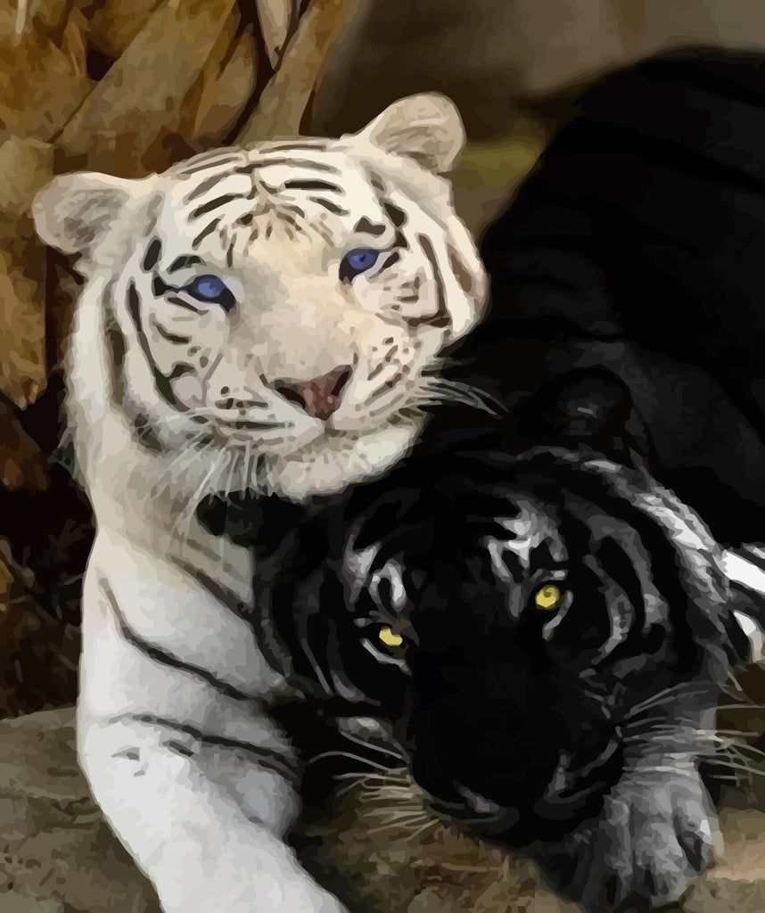 White Tiger and Black Tiger Paint by Numbers