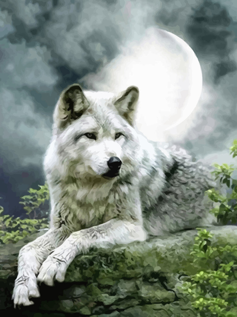 White Wolf and Moon Paint by Numbers