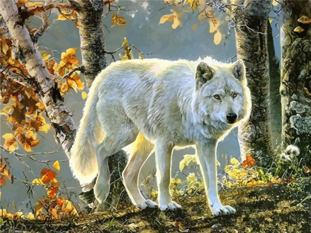 White Wolf in the Forest Paint by Numbers