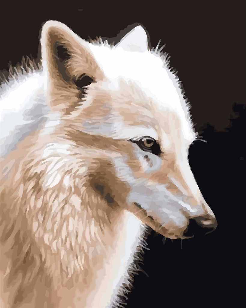 White Wolf Paint by Numbers