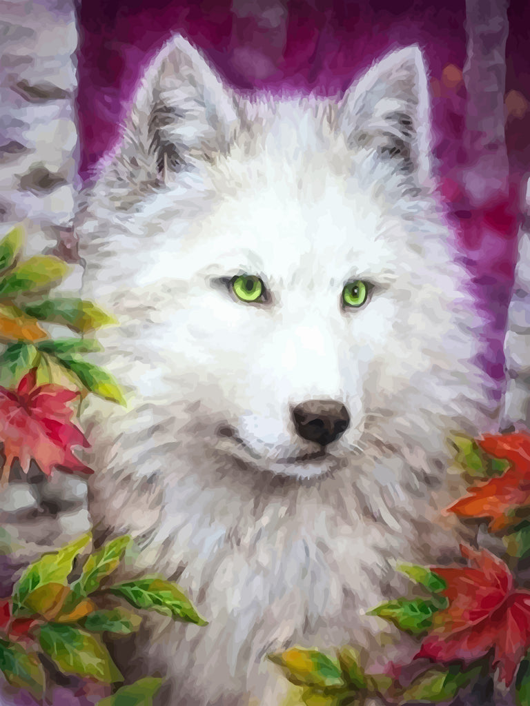 White Wolf Paint by Numbers