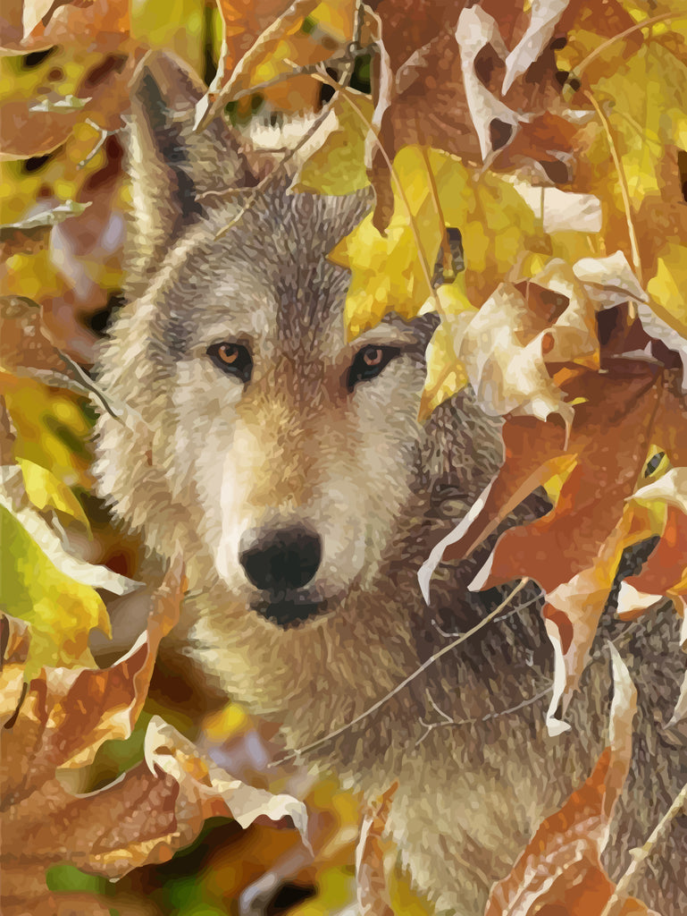 Wolf among Autumn Leaves Paint by Numbers