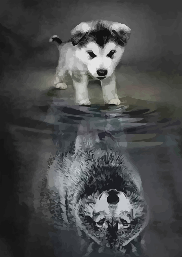 Wolf and Reflection Paint by Numbers