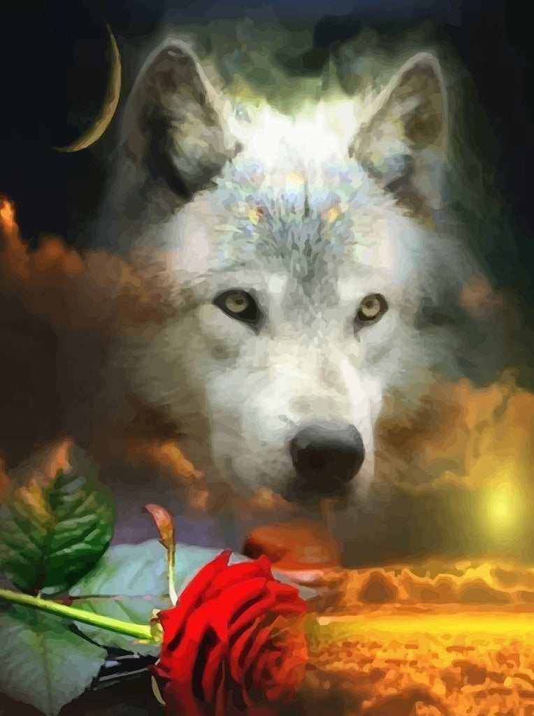 Wolf and Rose Paint by Numbers