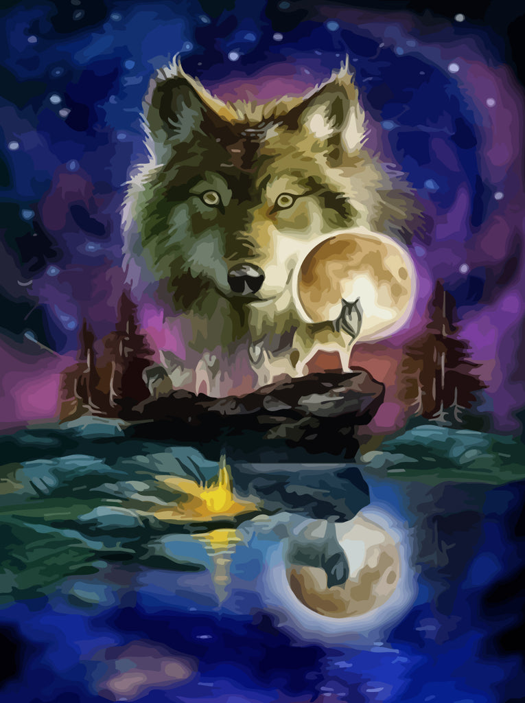 Wolf and Starry Sky Paint by Numbers