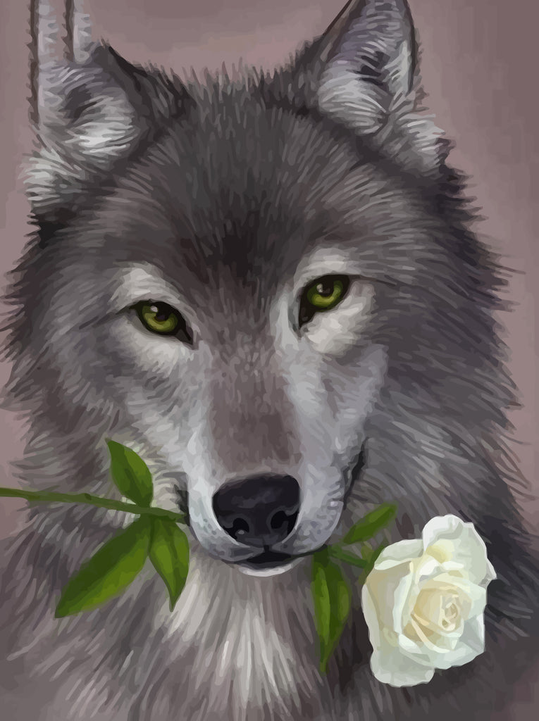 Wolf and White Rose Paint by Numbers