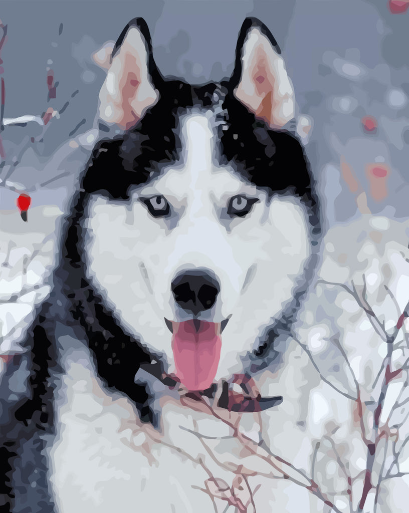 Wolf in Winter Paint by Numbers