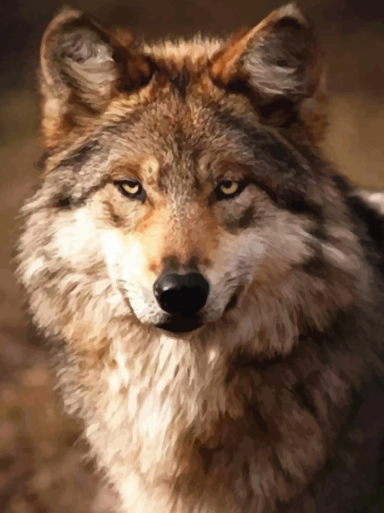 Wolf Paint by Numbers