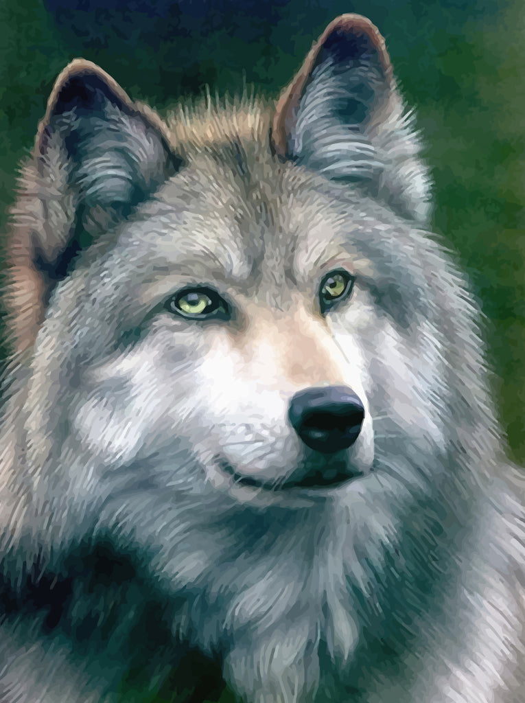 Wolf Paint by Numbers