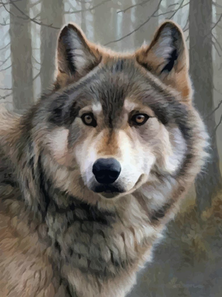 Wolf Paint by Numbers