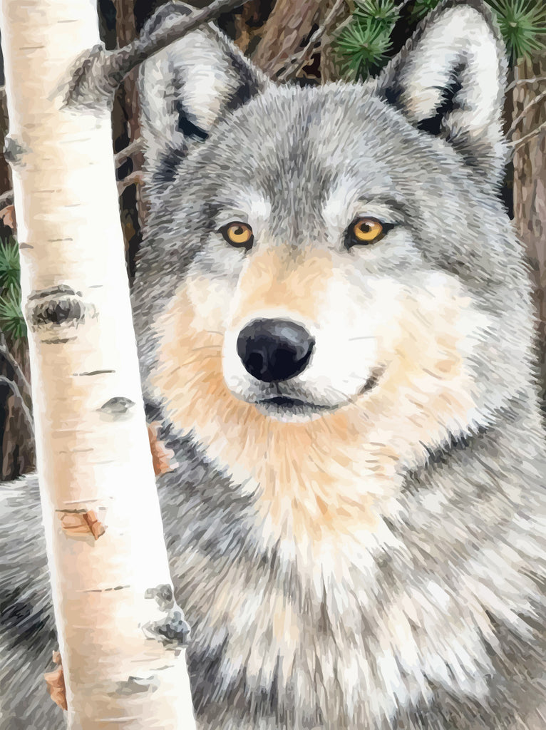 Wolf Paint by Numbers