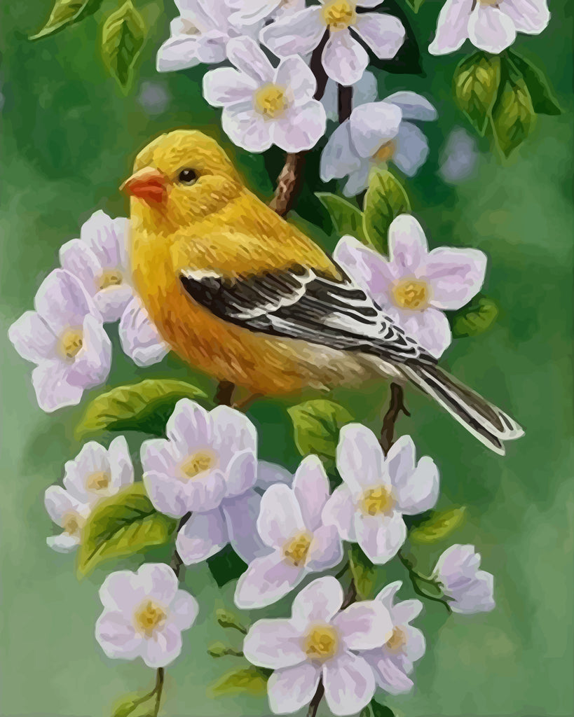 Yellow Bird and White Flowers Paint by Numbers