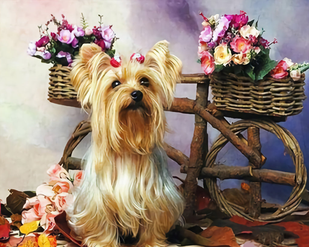 Yorkshire Terrier and Flowers Paint by Numbers