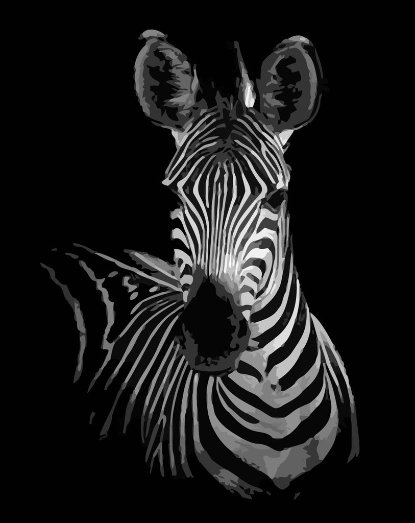 Zebra in the Dark Paint by Numbers